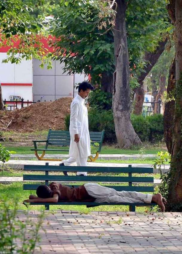 اسلام آباد: وفاقی دارالحکومت میں نوجوان درخت کے سائے تلے ..