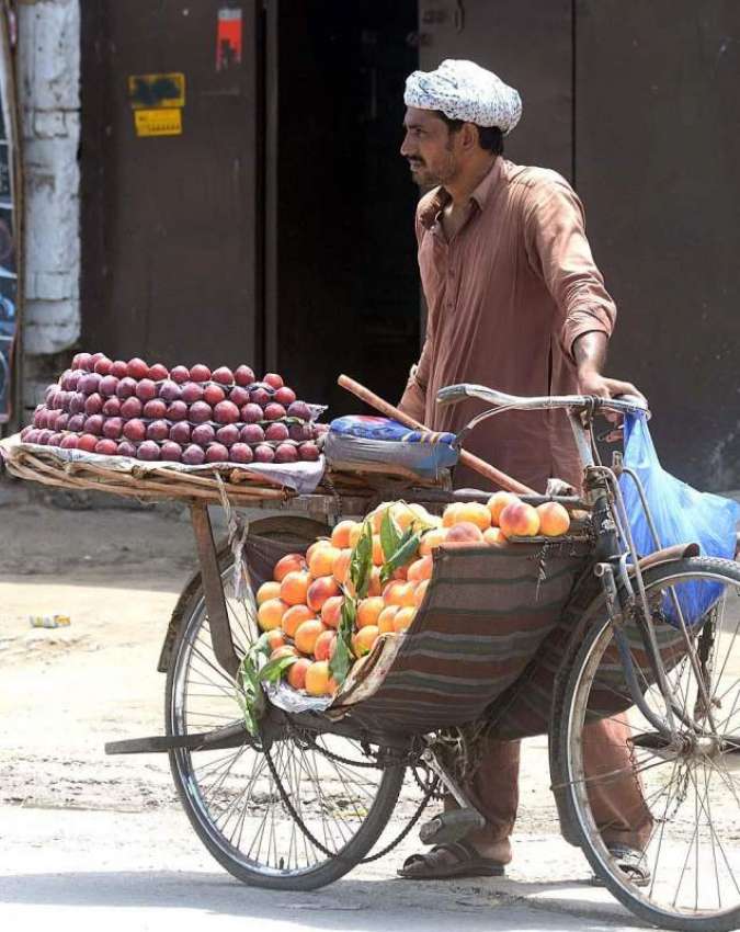 راولپنڈی: محنت کش پھیری لگا کر تازہ پھل فروخت کر رہا ہے۔