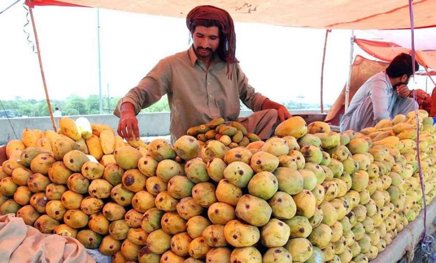 اسلام آباد: ریڑھی بان گاہکوں کو متوجہ کرنے کے لیے آم سجا ..