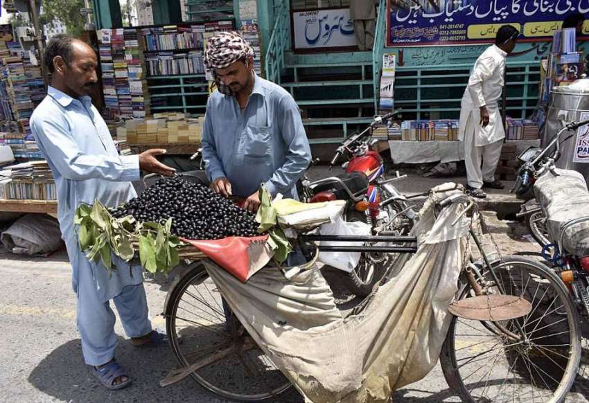 فیصل آباد: محنت کش پھیری لگا کر جامن فروخت کر رہا ہے۔