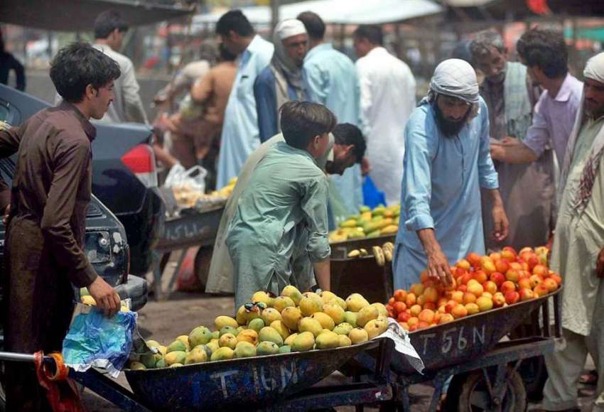 راولپنڈی: دکاندار گاہکوں کو متوجہ کرنے کے لیے فروٹ سجا رہا ..