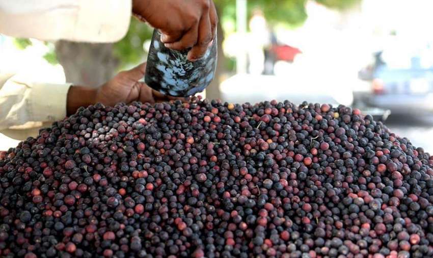 راولپنڈی: ریڑھی بان موسمی پھل (فالسہ) فروخت کر رہا ہے۔