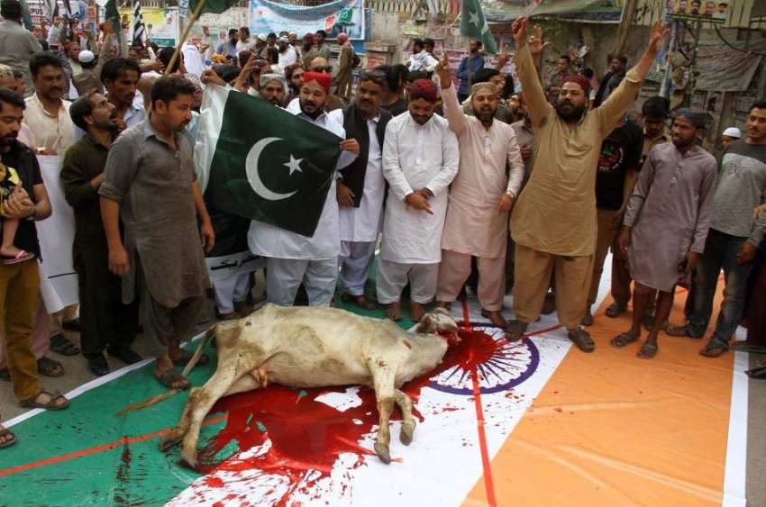 حیدر آباد: سنی تحریک ارکان بھارتی پرچم زمین پر بچھاکر گائے ..