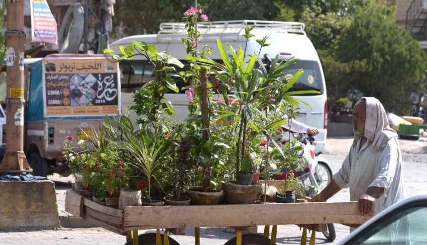 راولپنڈی: معمر ریڑھی بان پھیری لگا کر پودے فروخت کر رہا ہے۔