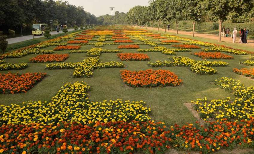 لاہور : جیلانی یارک میں لگے پھول خوبصورت منظر پیش کررہے ہیں۔ ..