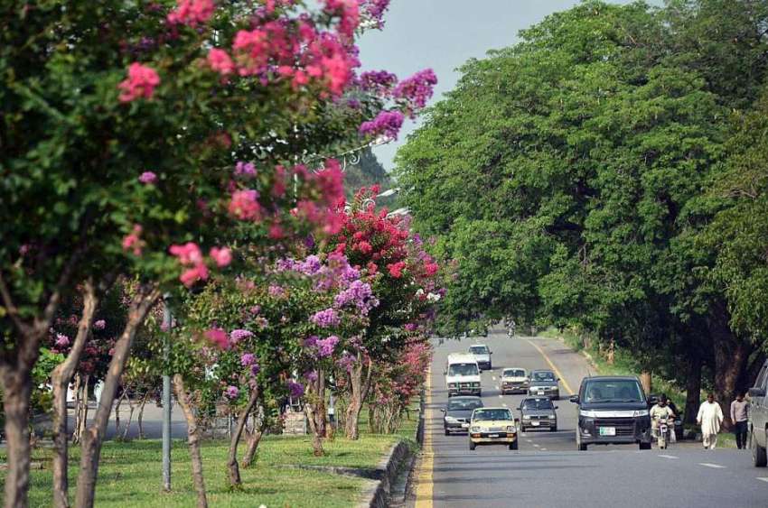 اسلام آباد: سڑک کنارے لگے درخت اور پھول خوبصورت منظر پیش ..