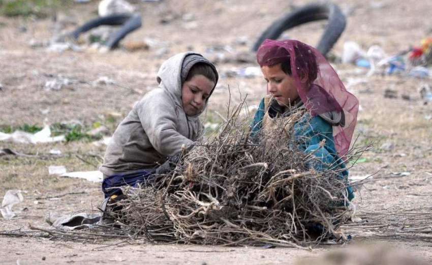 راولپنڈی: خانہ بدوش بچے خشک لکڑیاں جمع کر رہے ہیں۔