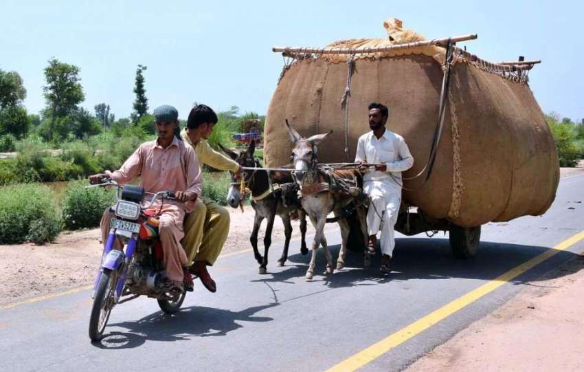فیصل آباد: موٹر سائیکل سوار گدھا ریڑھی والے کی مدد کرتے ہوئے۔