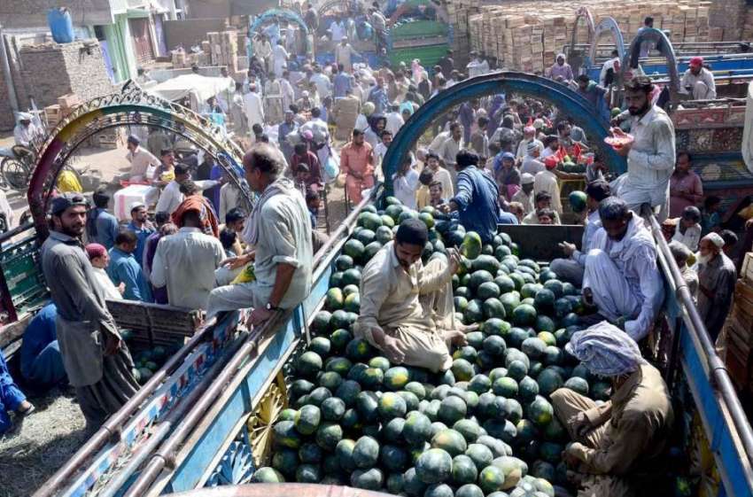 حیدر آباد: بیوپاری فروٹ منڈیں میں تربوز فروخت کررہے ہیں۔