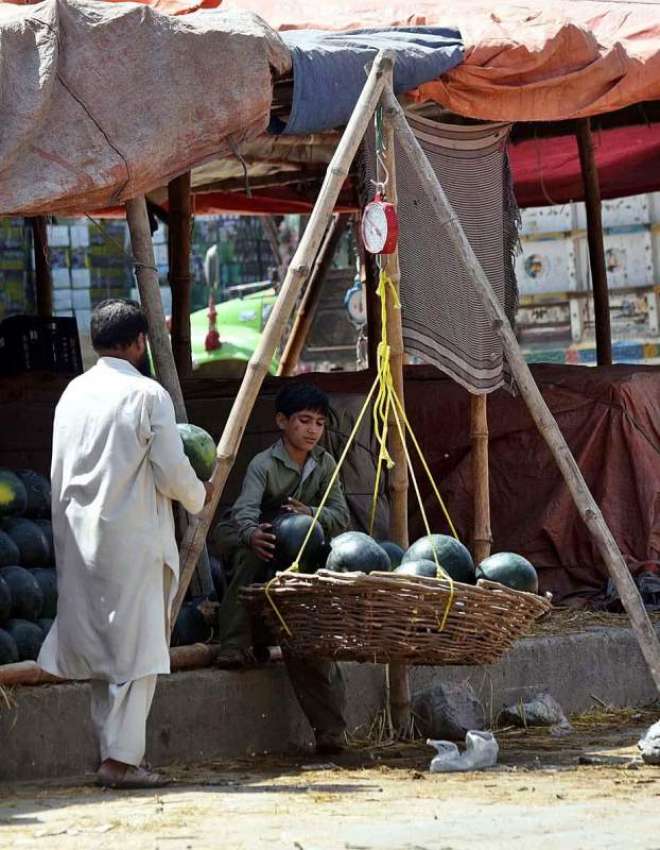 راولپنڈی: دکاندار تربوز فروخت کے لیے تول رہا ہے۔