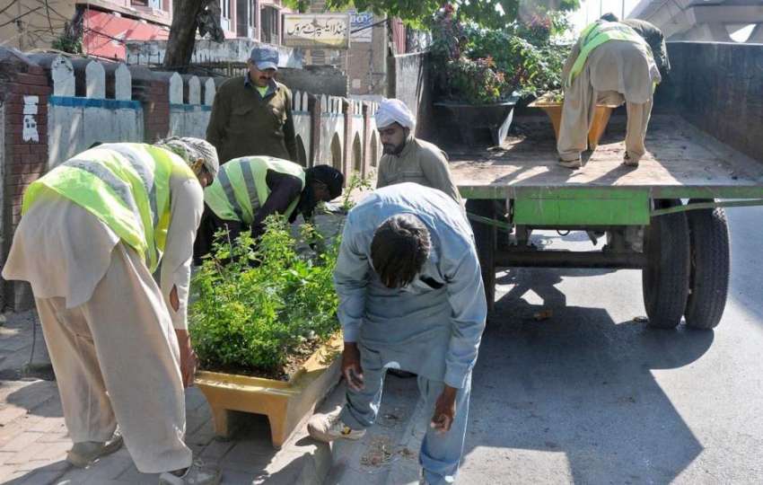راولپنڈی: پی ایچ اے ملازمین مری روڈ پر پودوں کی کیاریاں سجارہے ..