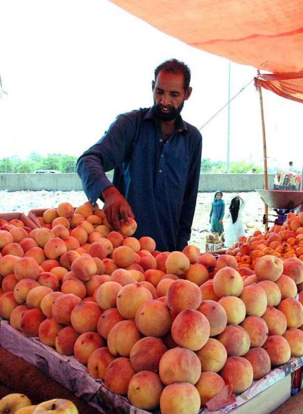 اسلام آباد: ریڑھی بان گاہکوں کو متوجہ کرنے کے لیے آڑو سجا ..