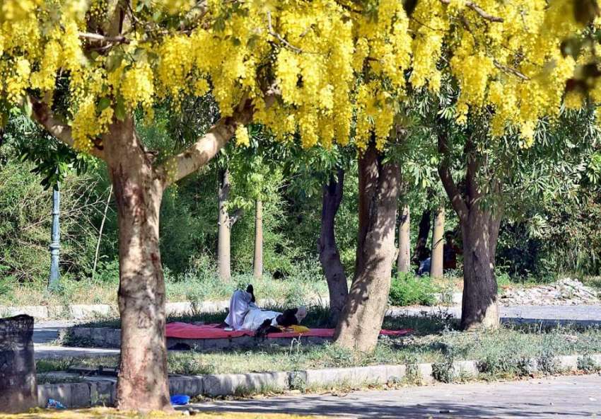 اسلام آباد: شہری سڑک کنارے درخت کے سائے تلے نیند کے مزے لے ..