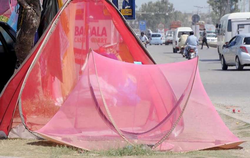 راولپنڈی: محنت کش نے سڑک کنارے مچھردانیاں فروخت کے لیے سجا ..