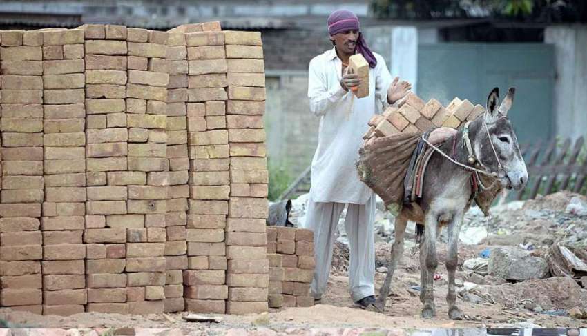 راولپنڈی: مزدور تعمیراتی کام کے لیے گدھے پر اینٹیں لوڈ کررہاہے۔