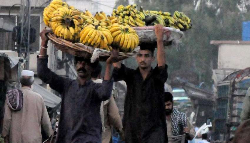 راولپنڈی: فروڈ منڈی میں مزدور کیلے کے ٹوکرے کولڈ سٹوریج ..