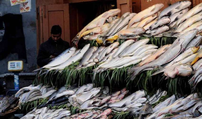 اسلام آباد: دکاندار نے مچھلیاں فروخت کیلئے سجا رکھی۔ 