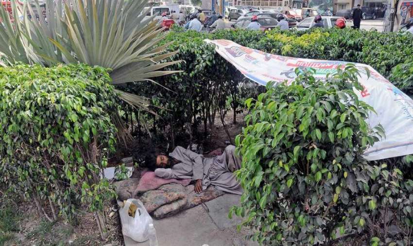 راولپنڈی: لیاقت باغ چوک میں ایک بے گھر شخص پودوں کے سائے ..