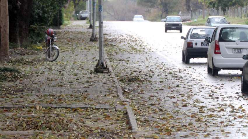 اسلام آباد: وفاقی دارالحکومت میں بارش کے باعث گرے سڑک پر ..