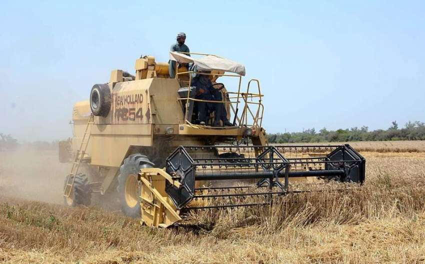 فیصل آباد: جدید مشینری کے ذریعے گندم کی کٹائی جاری ہے۔