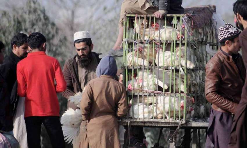 اسلام آباد: شہری ایک سٹال سے مرغی خرید رہے ہیں۔