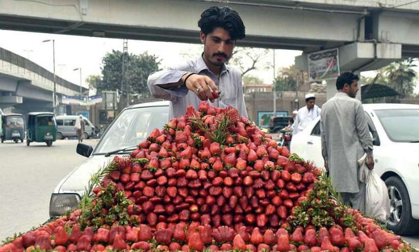 پشاور: ریڑھی بان گاہکوں کو متوجہ کرنے کے لیے تازہ اسٹرابری ..