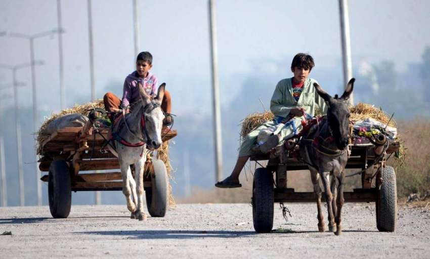 راولپنڈی: نوجوان خانہ بدوش گدھا ریڑھیوں پر سوار اپنی منزل ..