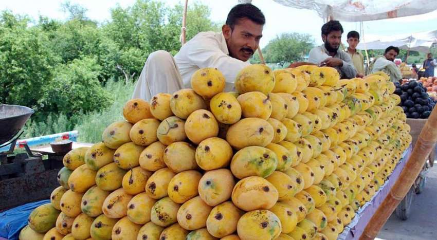 اسلام آباد: ریڑھی بان گاہکوں کو متوجہ کرنے کے لیے آم سجا ..