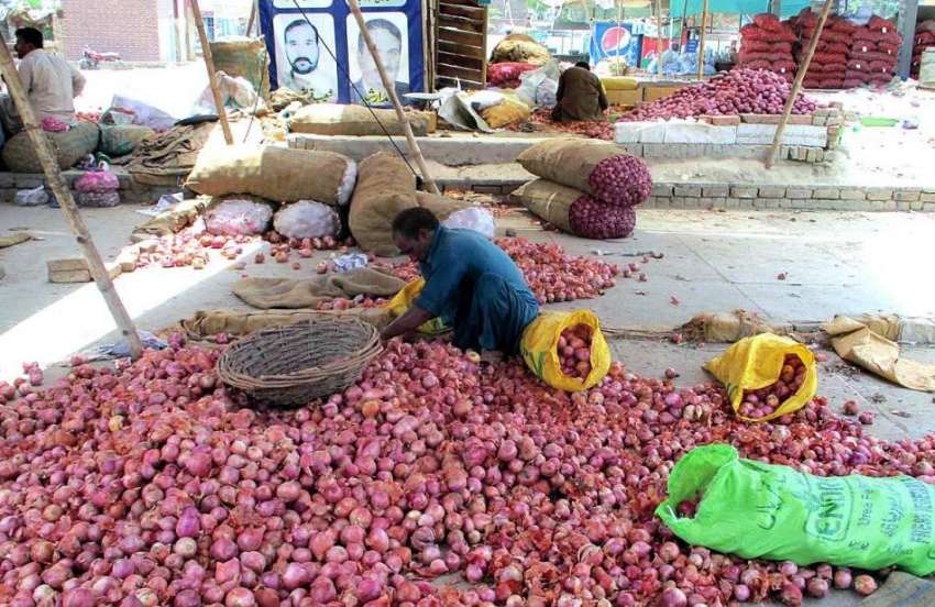 بہاولپور: مزدور سبزی منڈی میں پیاز چھانٹی کرنے میں مصروف ..