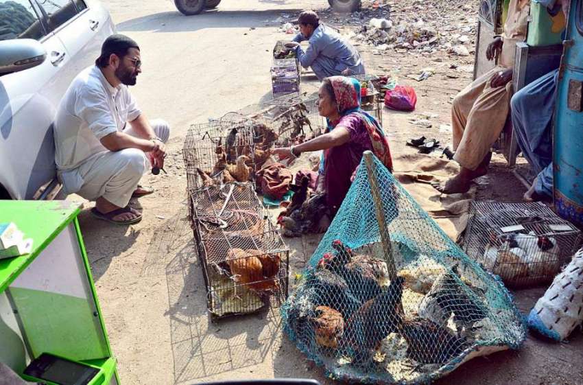 حیدرآباد: لطیف آباد میں خاتون مرغیاں فروخت کر رہی ہے۔
