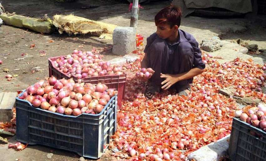 فیصل آباد: کمسن مزدور سبزی منڈی میں پیاز چن رہا ہے۔