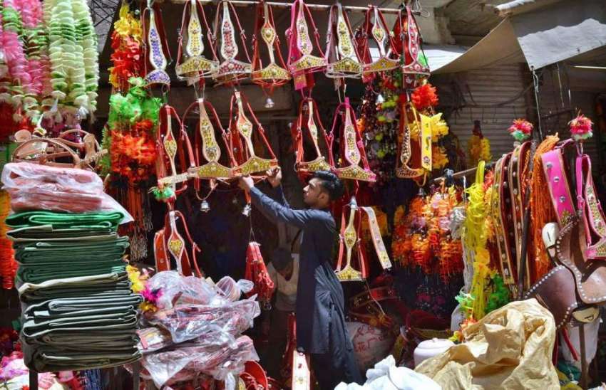 لاہور: عید قرباں کی آمد کے موقع پر دکاندار مویشیوں کے بناؤ ..