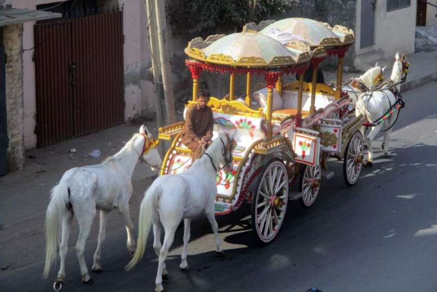 فیصل آباد: شادی بیاہ اور دیگر تقریبات میں استعمال کی جانیوالی ..