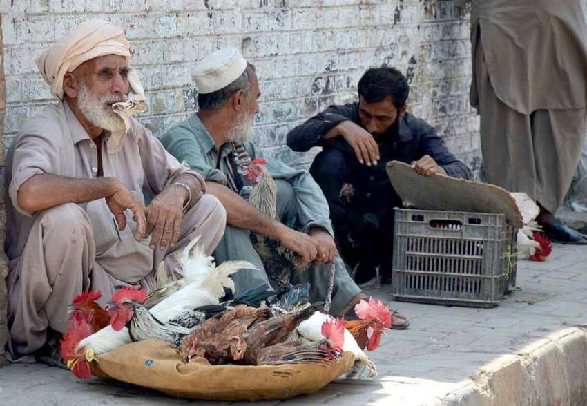 پشاور:  باچا خان چوک کے قریب جمعہ بازار میں ایک بوڑھا شخص ..