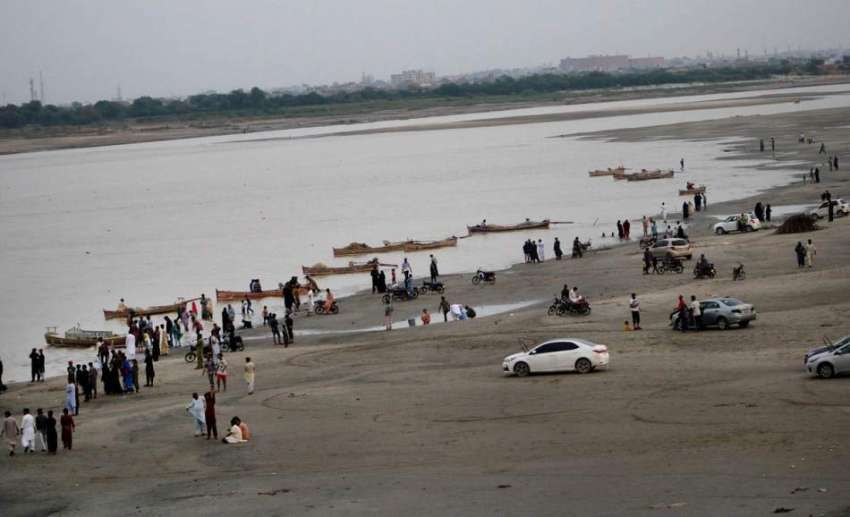 حیدرآباد: دریائے سندھ میں گھریلو استعمال کے لئے درختوں کی ..