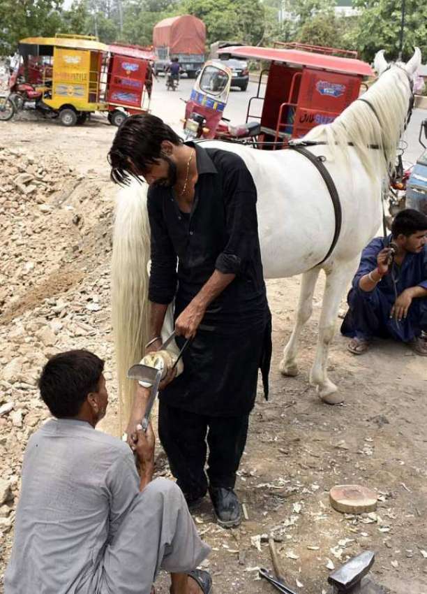 فیصل آباد: محنت کش گھوڑے کی لوہے کی کھریاں بنانے میں مصروف ..