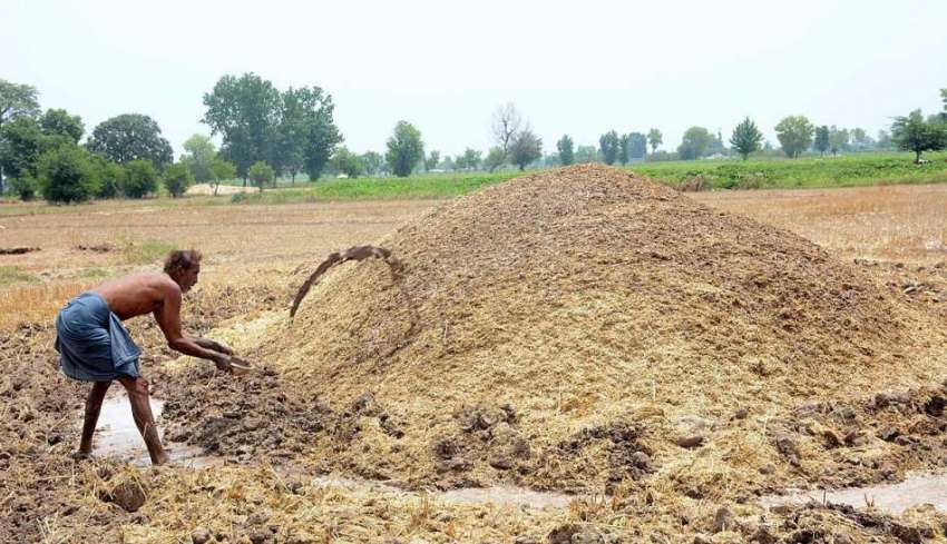فیصل آباد: کسان کھیت میں پرالی اور توڑی سنبھالنے میں مصروف ..