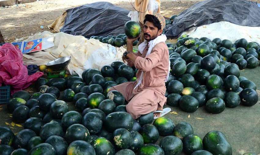 حیدر آباد: دکاندار گاہکوں کو متوجہ کرنے کے لیے تربوز سجا ..