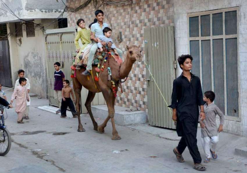 فیصل آباد: اونٹ کی سواری سے لطف اندوز ہوتے ہوئے بچے۔
