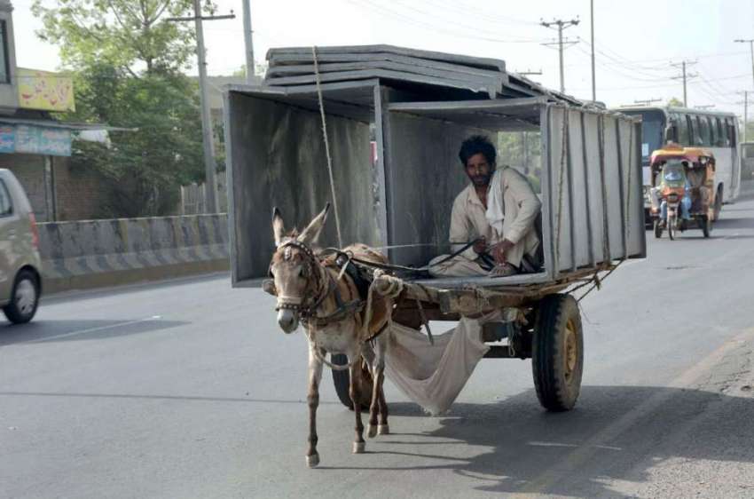 فیصل آباد: مزدور گدھا ریڑھی پر لوہے کے باکس رکھے جا رہا ہے۔