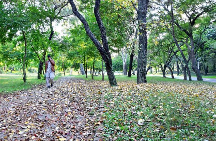اسلام آباد: وفاقی دارالحکومت میں موسم خزاں کے موسم میں درختوں ..