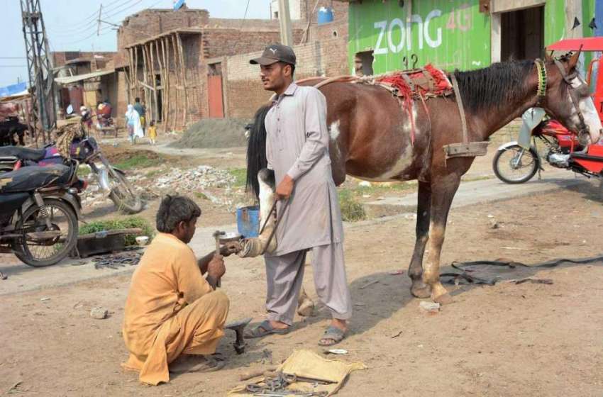 فیصل آباد: ایک شخص گھوڑے کا لوہے کا پاؤں مرمت کر رہا ہے۔