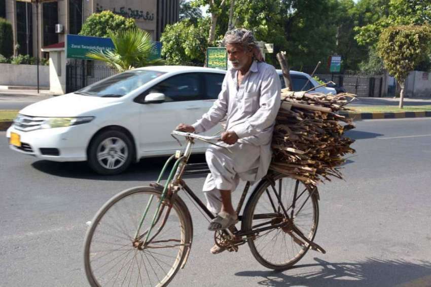 فیصل آباد: ایک معمر شحص سائیکل پر لکڑیاں لادھے اپنی منزل ..