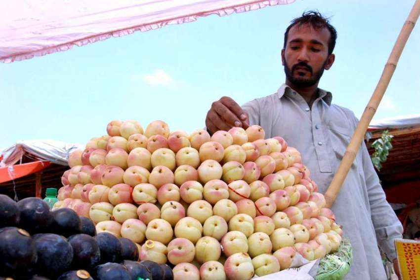 اسلام آباد: دکاندار گاہکوں کو متوجہ کرنے کے لیے موسمی پھل ..