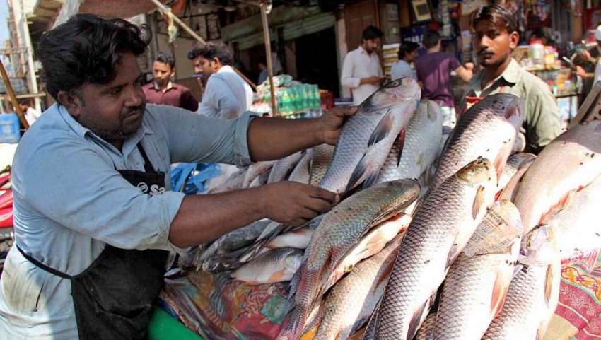 سرگودھا: باڑہ مارکیٹ میں صارفین کو راغب کرنے کے لئے مچھلیاں ..