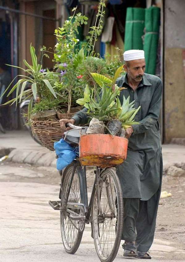 راولپنڈی: محنت کش پھیر لگا کر پودے فروخت کررہا ہے۔
