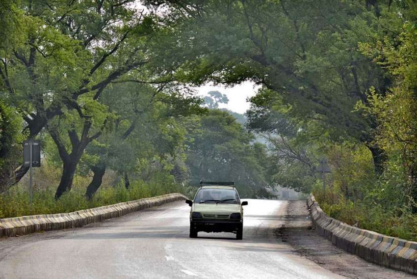 اسلام آباد: وفاقی دارالحکومت میں سڑک کے دونوں اطراف لگے ..