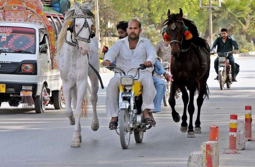 راولپنڈی: موٹر سائیکل سوار ایک ڈھولچی اپنے گھوڑوں کے ہمراہ ..