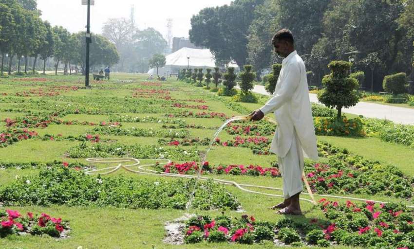 لاہور: جیلانی پارک میں پی ایچ اے کا ملازم پودوں کو پانی دے ..