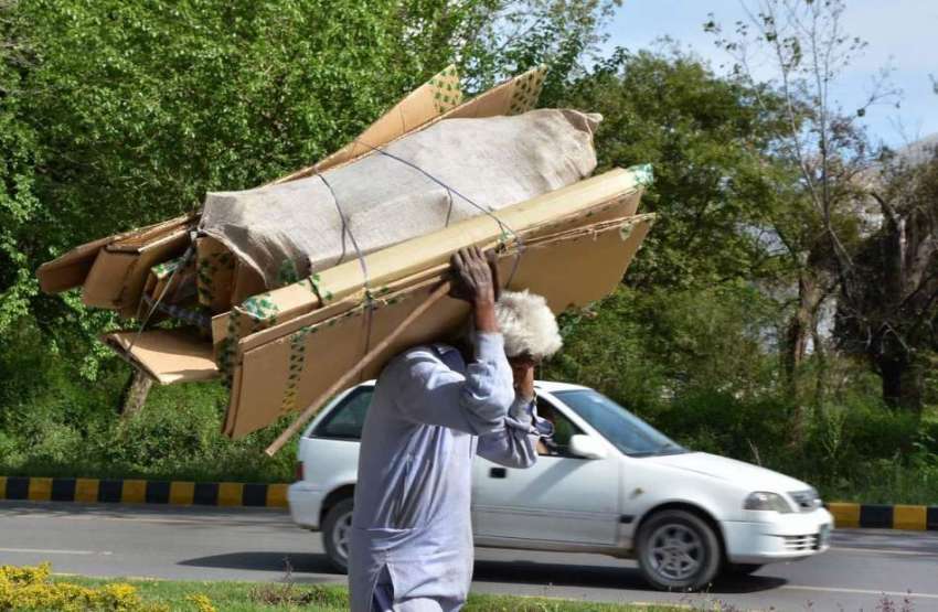 اسلام آباد: معمر شہری گتے کے خالے کارٹن اٹھائے اپنی منزل ..